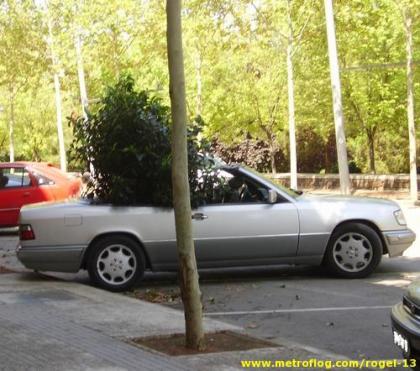 Mercedes Cabrio ecológico