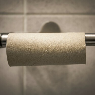 Nunca se me hubiera ocurrido utilizar los rollos de papel higiénico usados de esta forma 