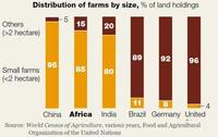 La agricultura en Africa, muy importante para el desarrollo