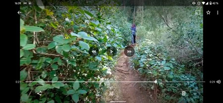 Googleフォトビデオ