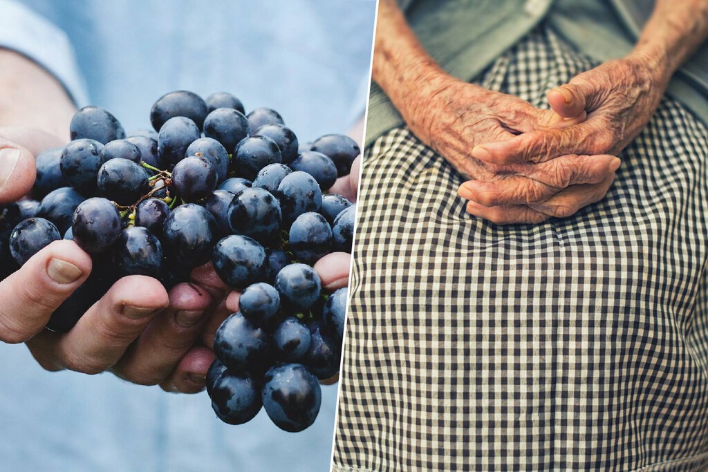 En plena carrera hacia la inmortalidad, China cree haber encontrado la forma de que vivamos 150 años: con uvas