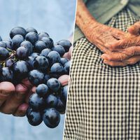 En plena carrera hacia la inmortalidad, China cree haber encontrado la forma de que vivamos 150 años: con uvas