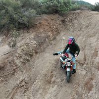 Hacer offroad con una Honda Monkey puede ser un error... O no, ¡pero cómo mola!