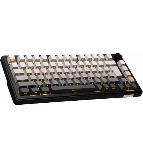 The G-Lab KEYZ Elite 300 GRG - US QWERTY Teclado para Juegos mecánicos
