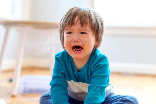 Cuando el niño solo llora y no puede exteriorizar lo que siente: qué hacer 