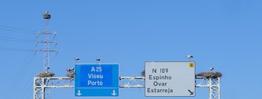 Peajes en Portugal: la guía de supervivencia definitiva para el conductor español