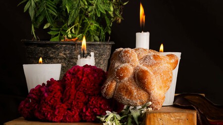 Este es el museo de Coyoacán que alojará al Festival Cultural Café y Chocolate 2025 edición de “Día De Muertos”: fechas y costos