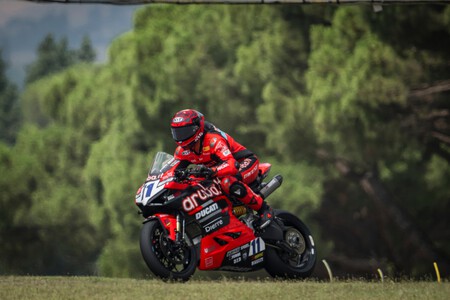 Bulega Imola Ssp 2023