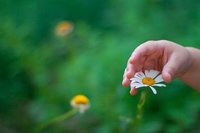 Leuconiquia o manchas blancas en las uñas