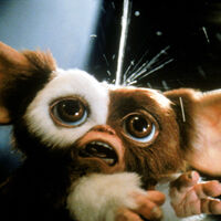 Si estás esperando 'Gremlins 3', Chris Columbus te invita a hacerlo sentado. "No queremos hacer una película que no sea excelente" 