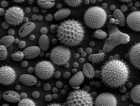 Tu barba crece 5 nanómetros por segundo: la dimensión incomprensible de la nanotecnología