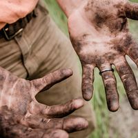 La empresa más grande de Taiwán se queja de lo "vagos" que son los estadounidenses porque "prefieren trabajar por dinero que por pasión" 