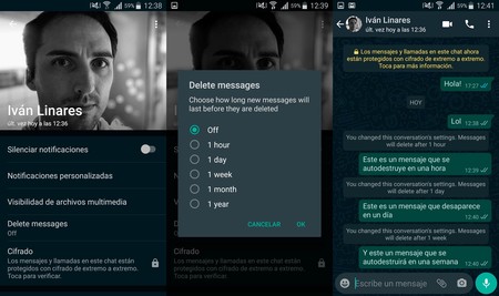 Borrado Mensajes Whatsapp 