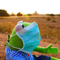 La retirada de las mascarillas en el trabajo, estas serán las empresas obligadas a mantenerlas 