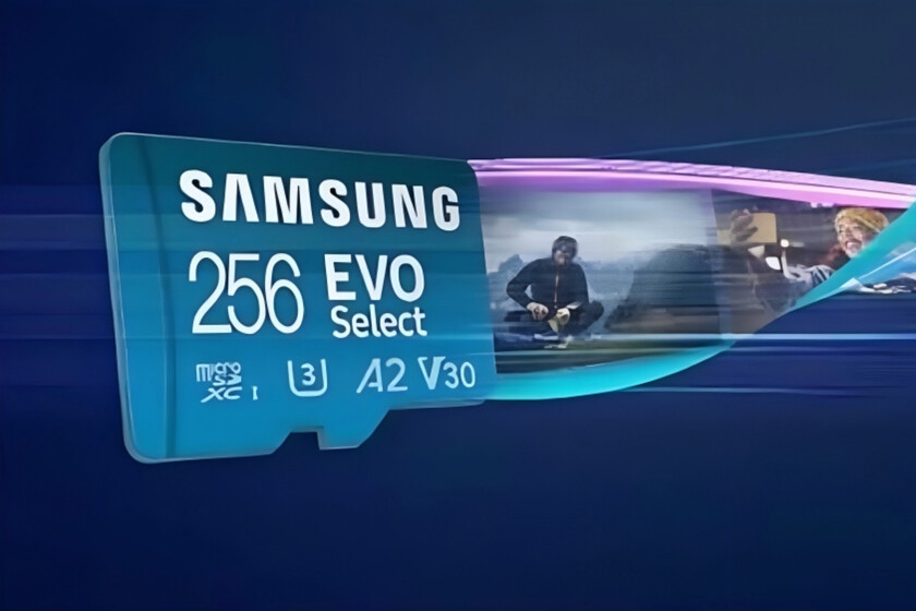 Samsung EVO Select 256GB, microSD