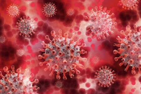 El ARN del coronavirus puede persistir hasta un mes en el polvo de una habitación