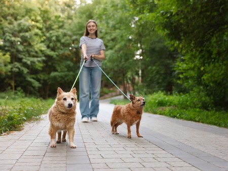 Post De Facebook Frase Acuarela Azul 1200 X 900 Px 2