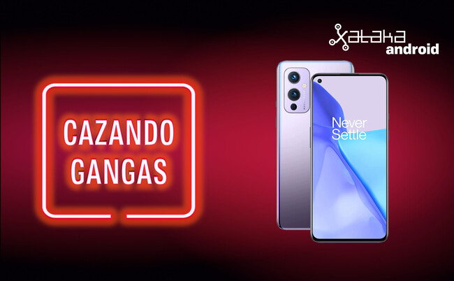 Oneplusganga