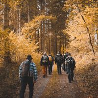 Decathlon nos prepara para la montaña con esta cómoda mochila de senderismo que cabe de todo y está casi a mitad de precio