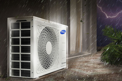 Latin Feature Fin Chassis Prot