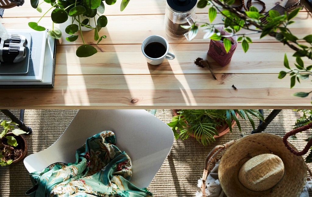 Estas plantas que vende IKEA se mantienen vivas incluso si nos vamos de vacaciones: estas son las alternativas