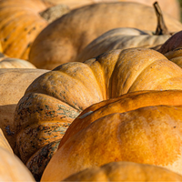 Estes legumes muito comuns na culinária brasileira guardam um segredo que a maioria das pessoas jamais imaginaria