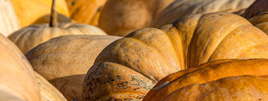 Estes legumes muito comuns na culinária brasileira guardam um segredo que a maioria das pessoas jamais imaginaria