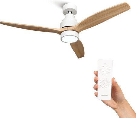 Ventilador Techo Luz