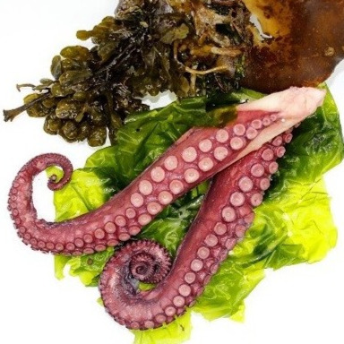 Pata de pulpo Gallego