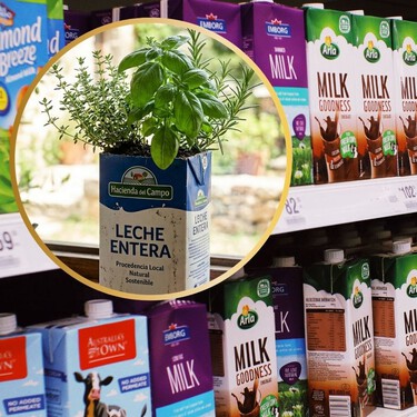 No los tires: 3 ideas prácticas para reutilizar los envases de cartón de la leche vacíos que tienes en casa y darles un nuevo uso