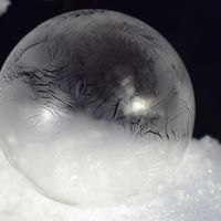 Evita la soledad del ejecutivo 