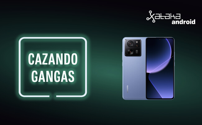 Cazando Gangas