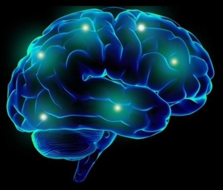 El cerebro no es hardware ni software: es wetware