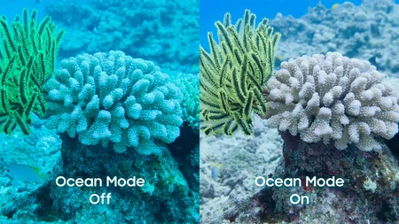 Ocean Mode 3