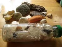 Hazlo tú mismo: sonajero playero para bebés