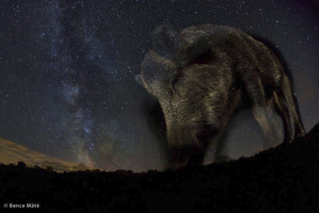 Ganadores del concurso Montphoto 2015