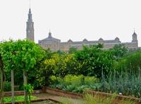 El Botánico de Gijón celebra su X Aniversario con jornadas de puertas abiertas 