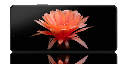 Xperia 10 Ii Display