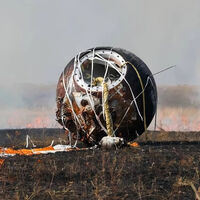 Rusia ha enviado 75 ratones y 1.500 moscas al espacio. Pese a que no todos los roedores han regresado, ha sido un éxito