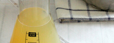 Cómo hacer un fumet o caldo de pescado