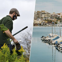 Un jardinero de Torrevieja pidió teletrabajar. Naturalmente, se lo denegaron, pero la historia era más profunda 
