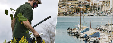 Un jardinero de Torrevieja pidió teletrabajar. Naturalmente, se lo denegaron, pero la historia era más profunda 