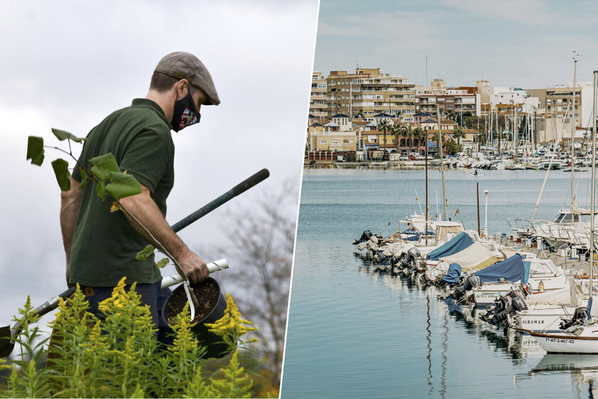 Un jardinero de Torrevieja pidió teletrabajar. Naturalmente, se lo denegaron, pero la historia era más profunda