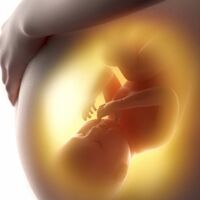 Los bebés sueñan con el mundo que están a punto de experimentar incluso antes de nacer  