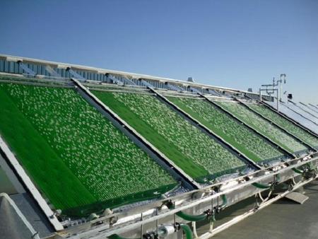 Audi participa en un proyecto para desarrollar biocombustible de microalgas