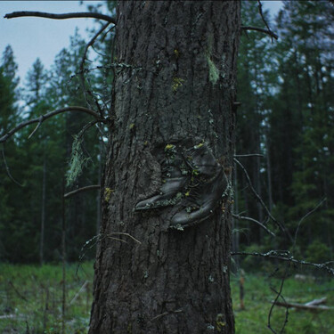 Hoy en Netflix: el western poético que mi corazón necesitaba. La película de una vida que demuestra que no hace falta triunfar para vivir plenamente