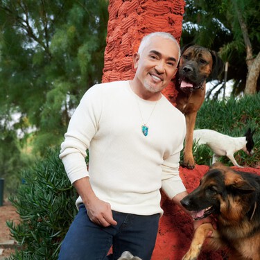 César Millán, experto en educación canina: "No existe un mal perro, sólo hay dueños que no comprenden sus necesidades" 