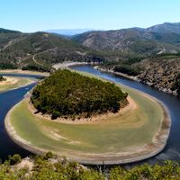 Nadie la visita, pero dicen que es "la Selva Negra de España": un paisaje que conecta 43 pueblos llenos de cascadas y bosques frondosos desde el interior de una provincia olvidada 