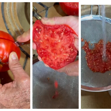 Se acaba agosto y toca pensar en la próxima cosecha: así hay que sacar las semillas a los tomates que quieras cultivar 