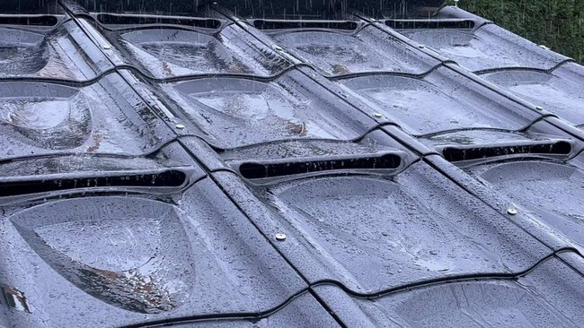 Cactile 1 1024x576